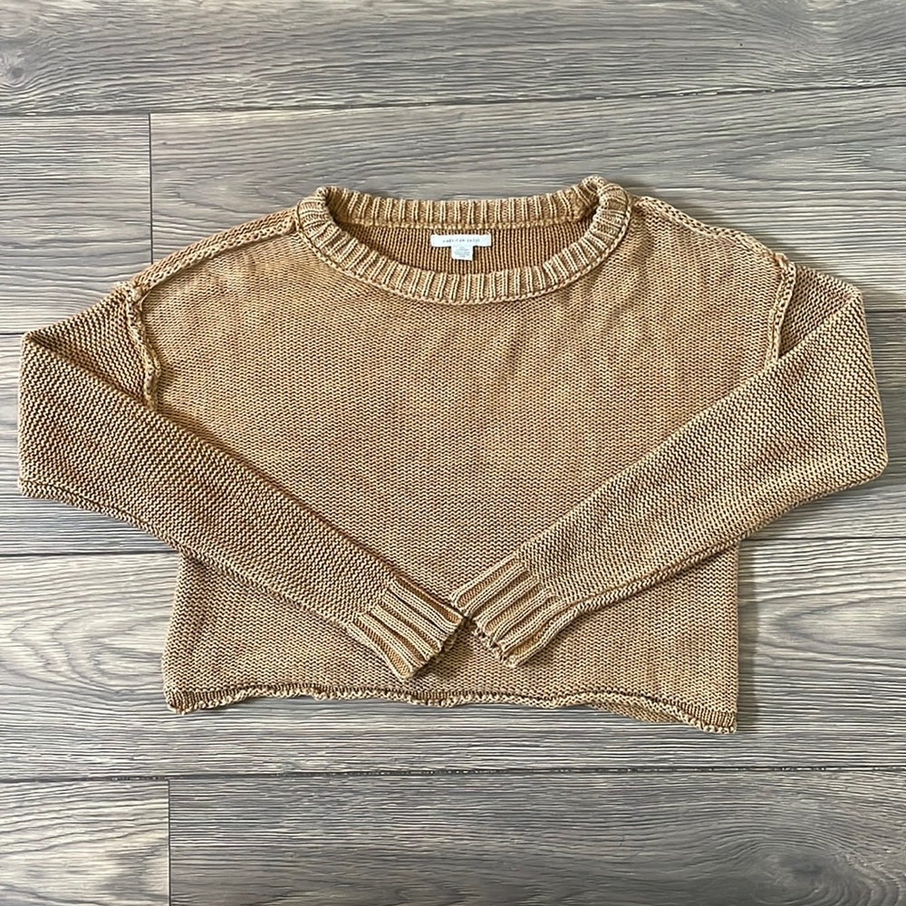 American Eagle Knit Crop Sweater